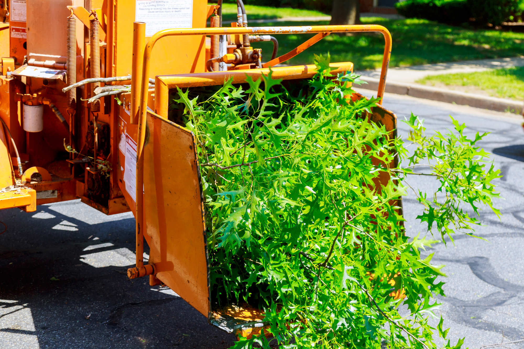 Professional tree removal service in Huntingtown Maryland