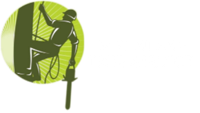 Mike Niland Tree Service